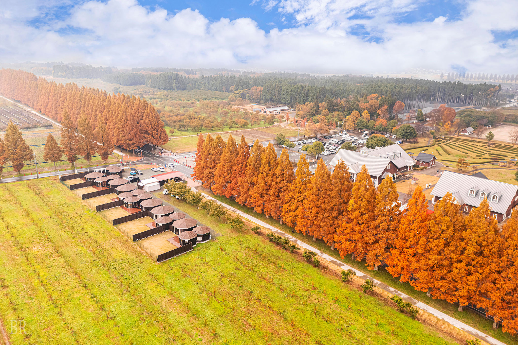 フォレストヴィラ　メタセコイア